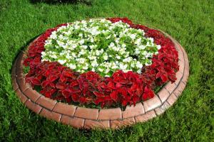 Do-it-yourself flowerbeds at the dacha made of bricks Make a flowerbed out of bricks with your own hands
