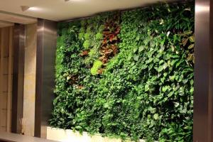 자신의 손으로 꽃 벽을 만드는 법 식물 패널